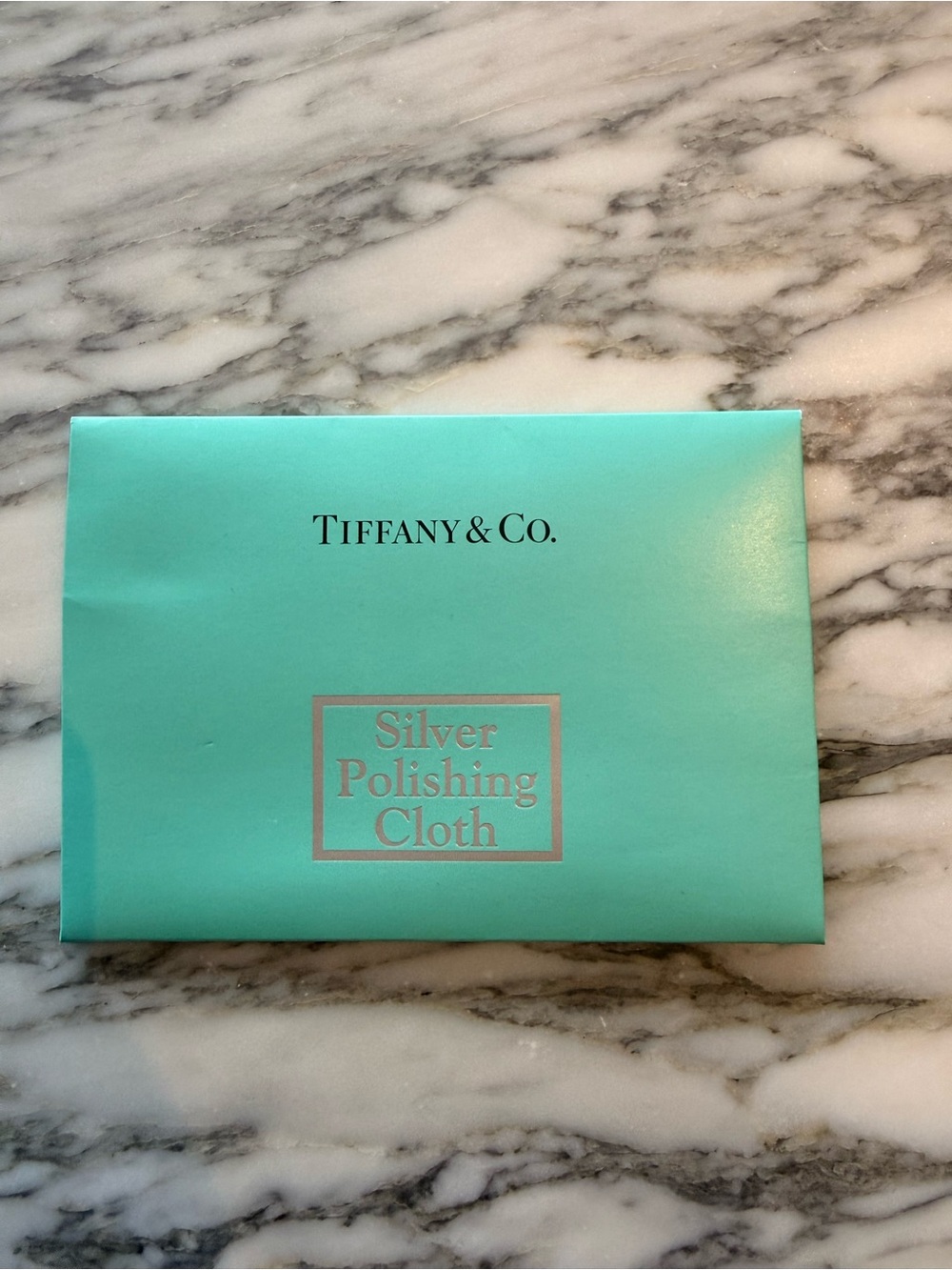 Tiffany & Co. Robin's Egg Blue Silver Polishing Cloth Packet
